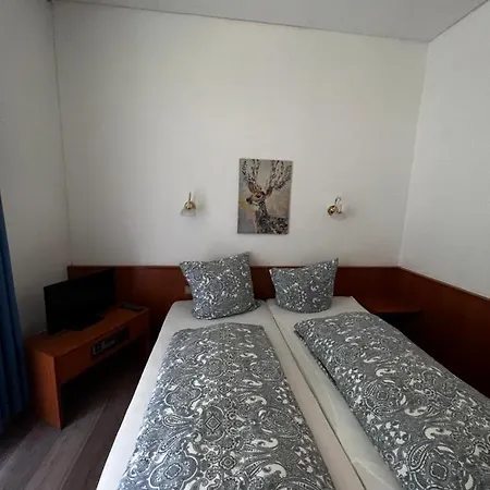 بيت ضيافة Pension Am Kurhaus *